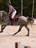 DSC00503