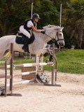 DSC09595 DSC09595