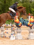 DSC00588 DSC00588