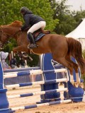 DSC00595 DSC00595