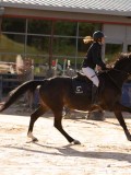 DSC03950 DSC03950