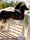 DSC03958 DSC03958
