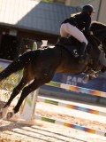 DSC03959 DSC03959