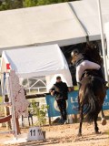 DSC03969 DSC03969