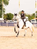 DSC01526 DSC01526