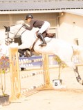 DSC01528 DSC01528