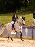 DSC01533 DSC01533