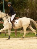 DSC07716 DSC07716