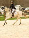 DSC07729 DSC07729