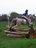 IMG_0247 IMG_0247