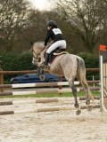 DSC04533 DSC04533