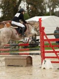 DSC04540 DSC04540