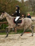 DSC04544 DSC04544