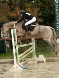 DSC04545 DSC04545