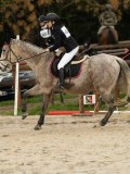 DSC04546 DSC04546
