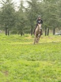 DSC05654 DSC05654