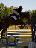 DSC00013 DSC00013