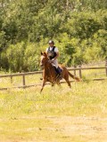 DSC03448 DSC03448