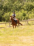 DSC03449 DSC03449
