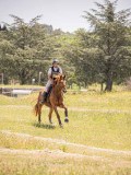 IMG_9312 IMG_9312