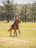 IMG_9313 IMG_9313