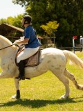 DSC00395 DSC00395