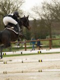 DSC04565 DSC04565