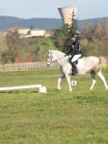 24_04741 24_04741