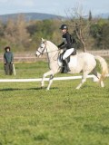 24_04750 24_04750
