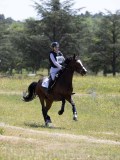 IMG_9388 IMG_9388