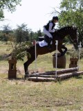 IMG_9390 IMG_9390