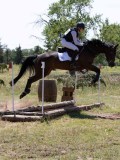 IMG_9391 IMG_9391