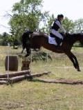 IMG_9392 IMG_9392