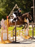 DSC00245 DSC00245