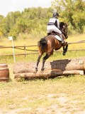 DSC03636 DSC03636