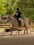 DSC07174 DSC07174