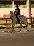 DSC07175 DSC07175