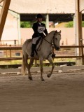 DSC07176 DSC07176