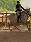 DSC07184 DSC07184