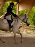 DSC07191 DSC07191