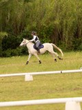 DSC08395 DSC08395