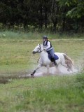 IMG_3396 IMG_3396