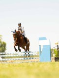 DSC00367 DSC00367