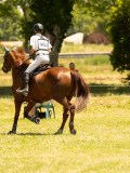 DSC00369 DSC00369