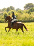 DSC01328 DSC01328