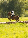 DSC01329 DSC01329