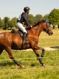 DSC01348 DSC01348