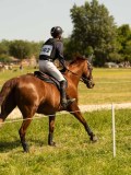 DSC01349 DSC01349