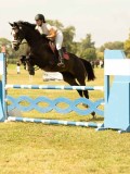 DSC04181