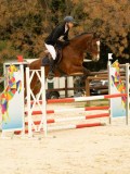DSC07749 DSC07749